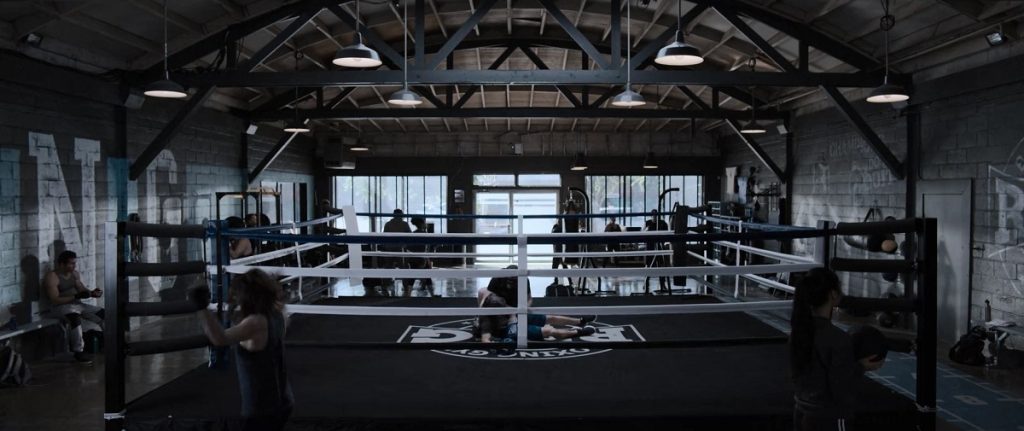 Real Estate Markets, boxing enthusiasts