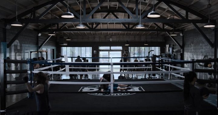 Real Estate Markets, boxing enthusiasts