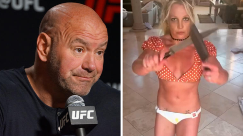 Britney Spears, Dana White