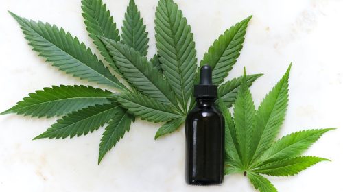 CBD's potential