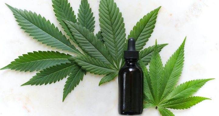 CBD's potential