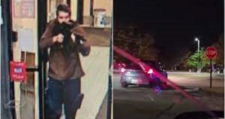 Maine mass shooting, Sean Hannity, mixed martial arts