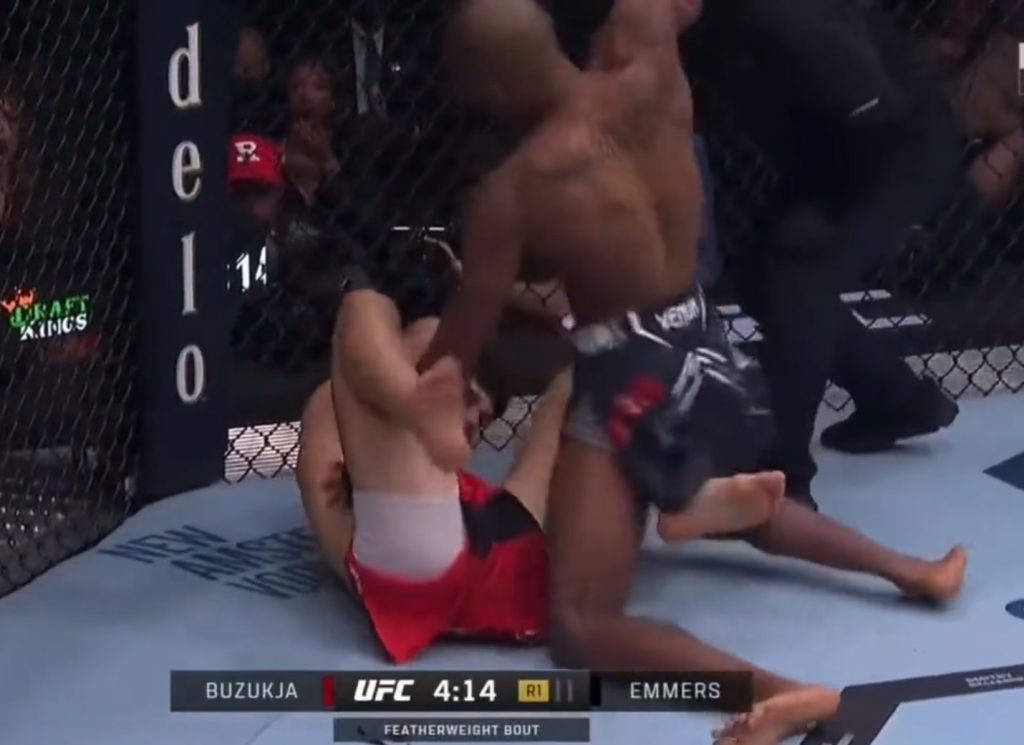 Jamall Emmers, UFC 295, Dennis Buzukja