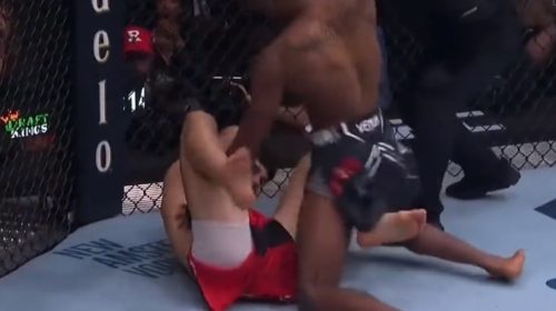 Jamall Emmers, UFC 295, Dennis Buzukja