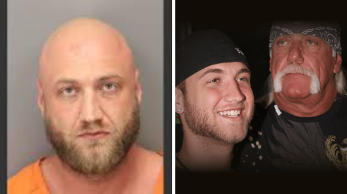 Nick Hogan