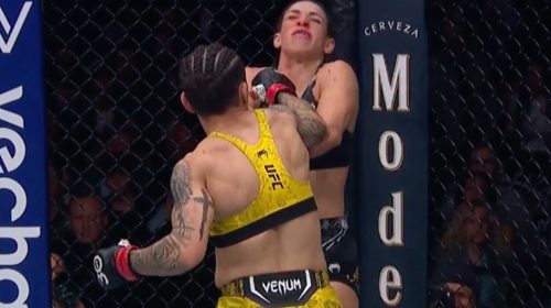 Jessica Andrade, UFC history, UFC 295