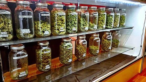 weed dispensaries