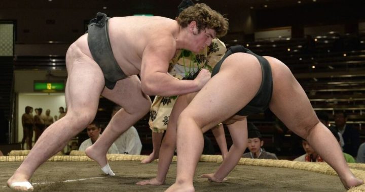 International Sumo League, New Jersey