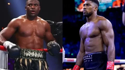 Francis Ngannou, Anthony Joshua