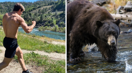 Sage Northcutt, bear