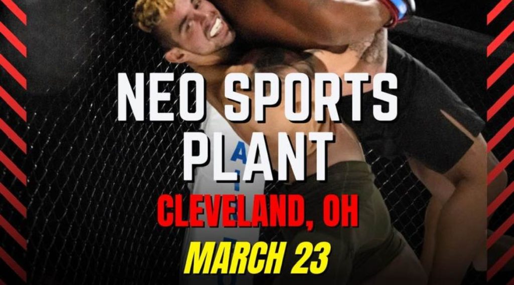 Live MMA at NEO 2