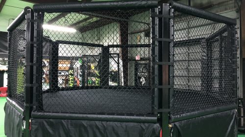 Caged Muay Thai