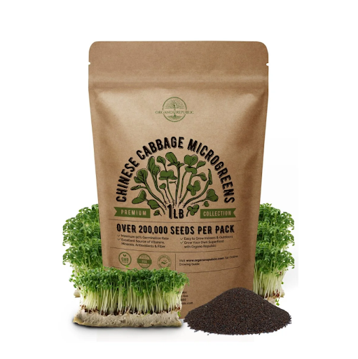 Organic Herb Seeds