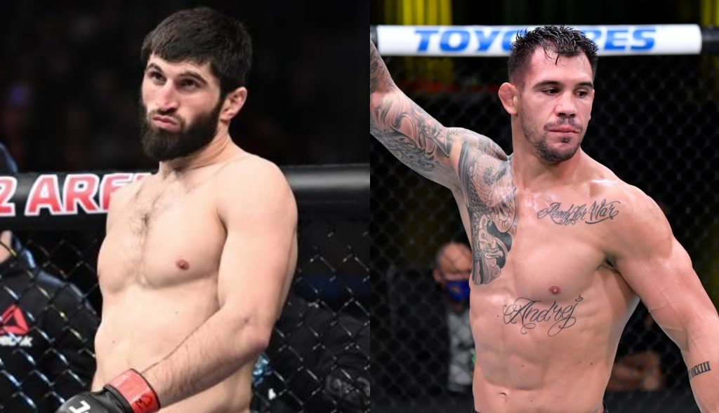 Magomed Ankalaev, Aleksandar Rakic, UFC 308