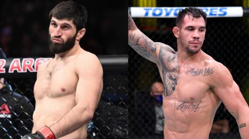 Magomed Ankalaev, Aleksandar Rakic, UFC 308