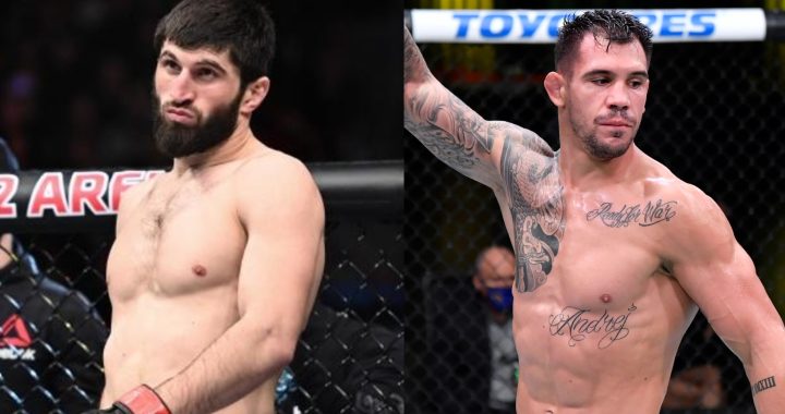 Magomed Ankalaev, Aleksandar Rakic, UFC 308