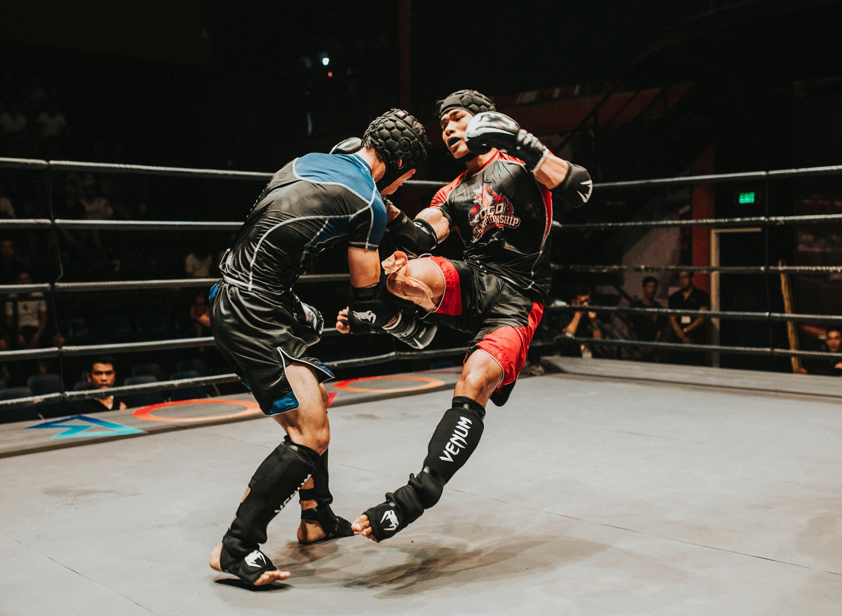 Famous Rivalries in MMA History: Fights That Changed the Sport