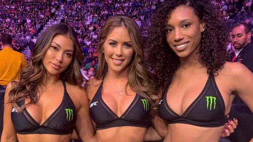 Monster Energy, UFC