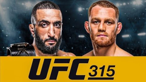 UFC 315