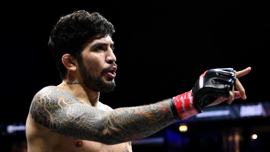 Dillon Danis, Misfits Boxing