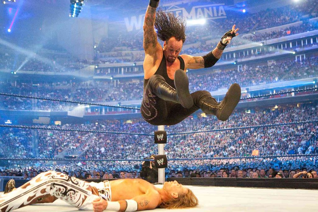 The Undertaker, Shawn Michaels
