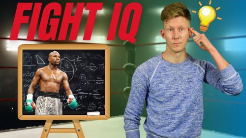fight iq