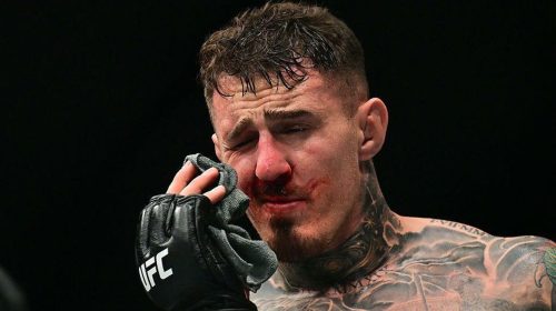 Tom Aspinall, UFC 321, Alistair Overeem