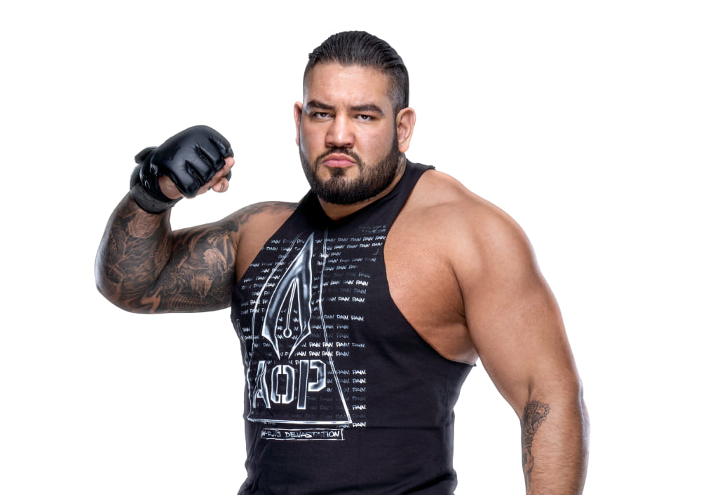 Gzim Selmani, former WWE star Rezar, signs with Bare Knuckle Fighting Championship Gzim Selmani, former WWE star Rezar, signs with Bare Knuckle Fighting Championship