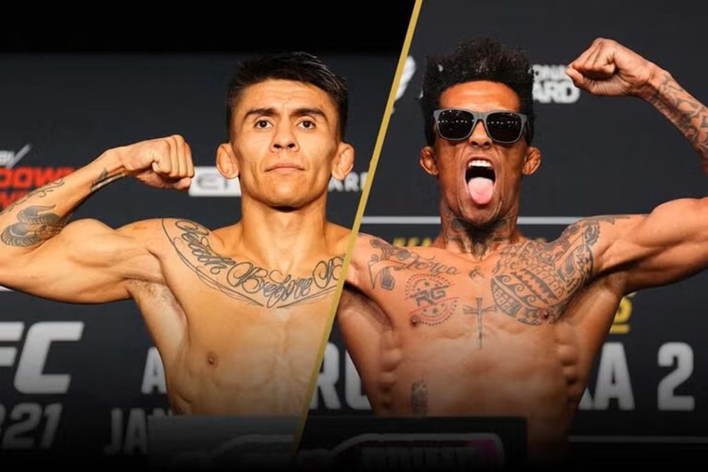 UFC Vegas 113 results