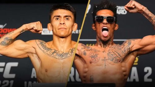 UFC Vegas 113 results