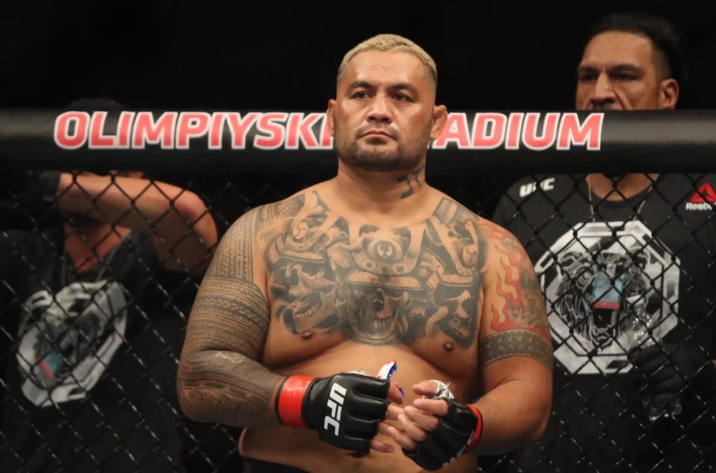 Tattooed UFC fighter with red gloves standing inside the cage at Olimpiyskiy Stadium.