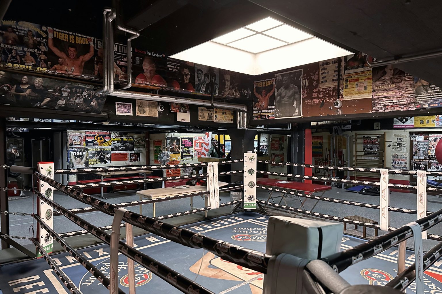 UFC betting