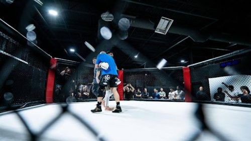 Two fighters grapple inside an octagonal cage as a crowd watches in a dim arena.