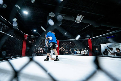 Two fighters grapple inside an octagonal cage as a crowd watches in a dim arena.