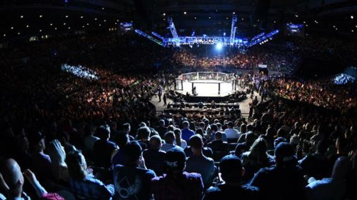experience fights