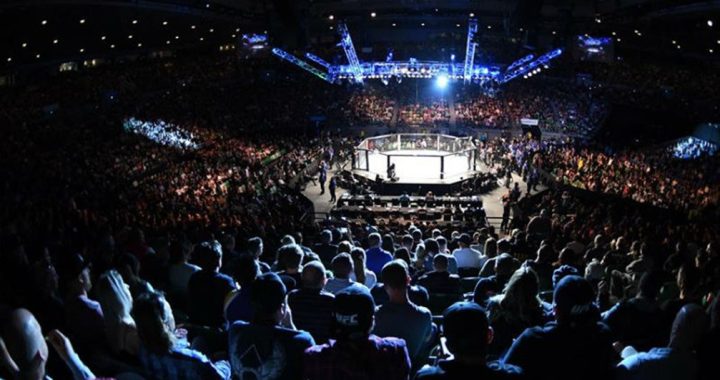 experience fights