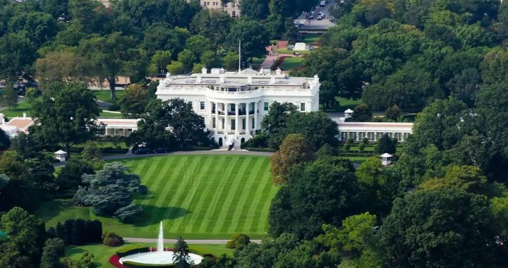 Scotts Miracle-Gro, UFC Freedom 250, White house Lawn