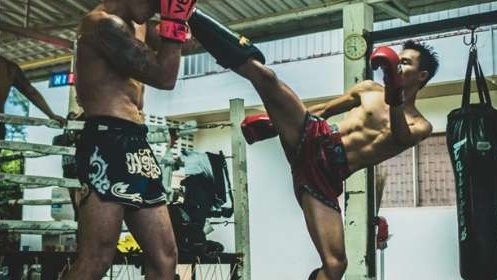 mma gyms