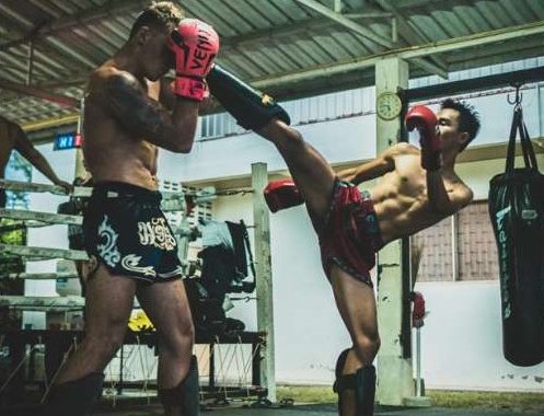 mma gyms