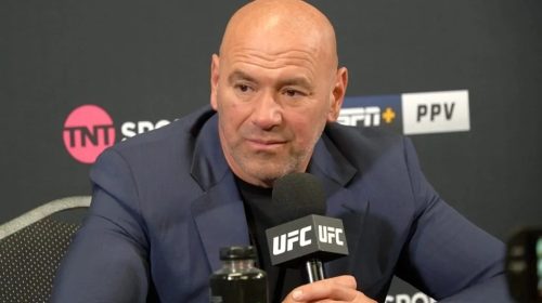 ufc rankings