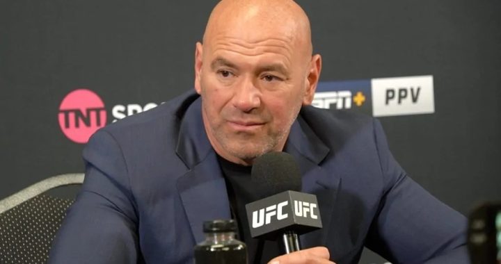 ufc rankings