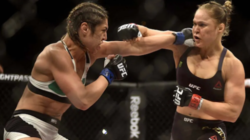 MMA training techniques