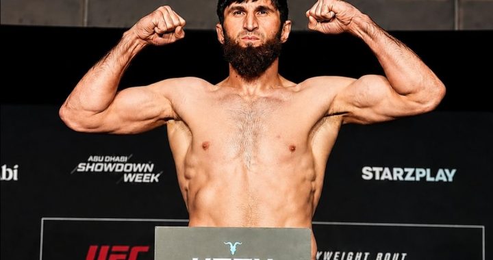 UFC Abu Dhabi