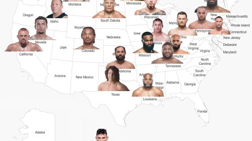 ufc fighters