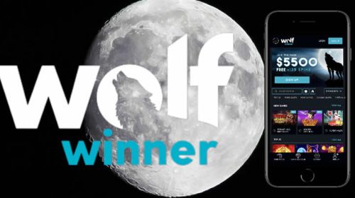 Wolf Winner Australia