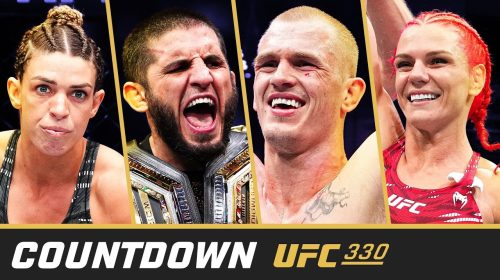 UFC 330