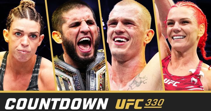UFC 330