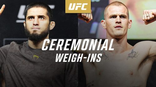 UFC 330