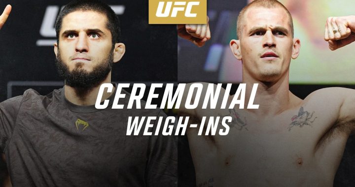 UFC 330