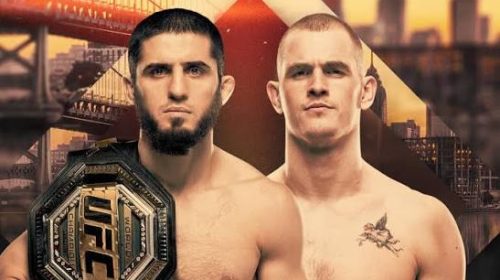 UFC 330